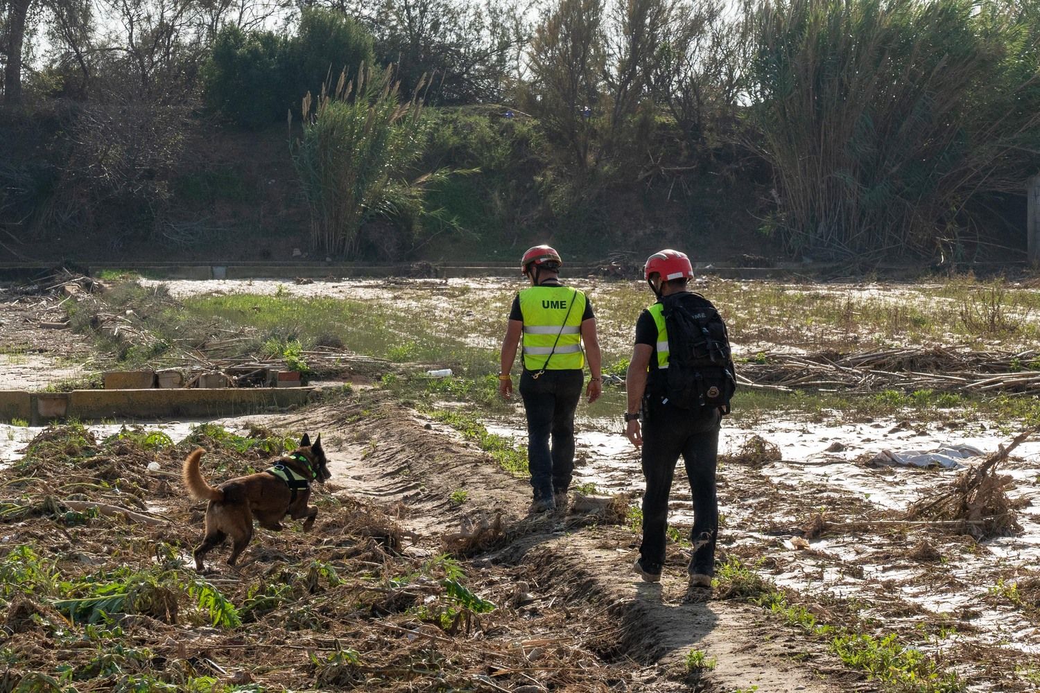 El V batallón de la UME con sede en León, rastrea la Albufera en busca de desaparecidos