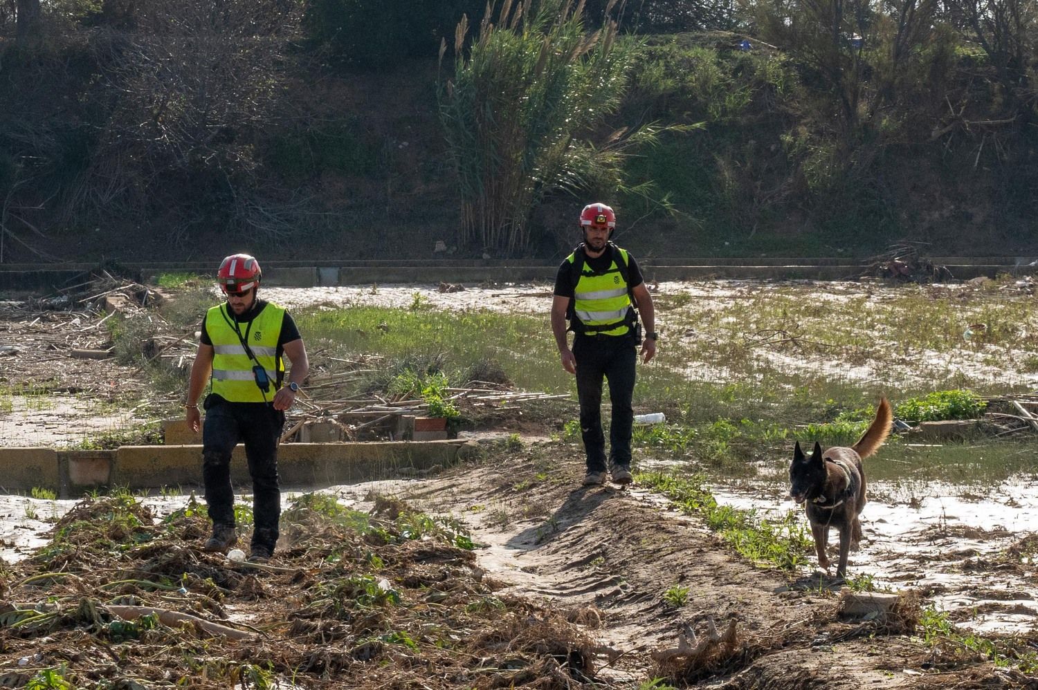 El V batallón de la UME con sede en León, rastrea la Albufera en busca de desaparecidos