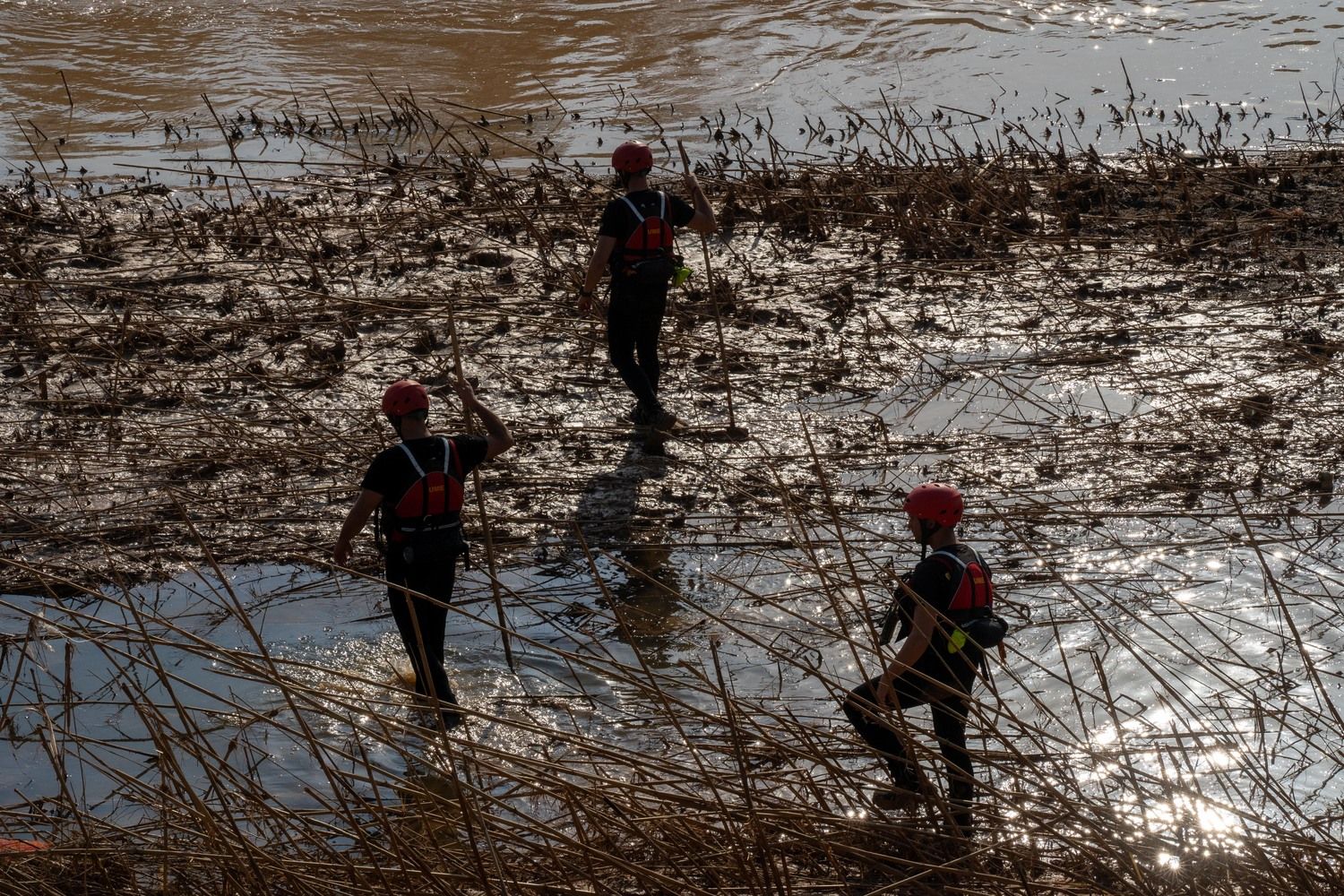 El V batallón de la UME con sede en León, rastrea la Albufera en busca de desaparecidos