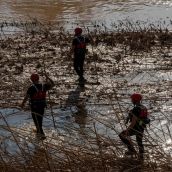 El V batallón de la UME con sede en León, rastrea la Albufera en busca de desaparecidos