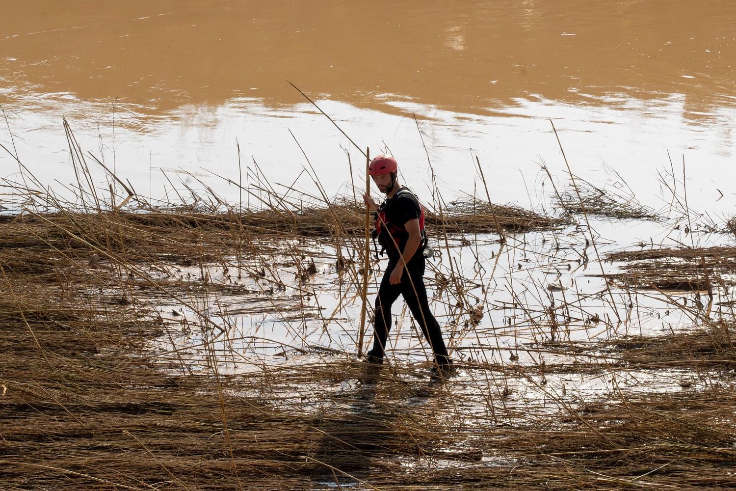 El V batallón de la UME con sede en León, rastrea la Albufera en busca de desaparecidos