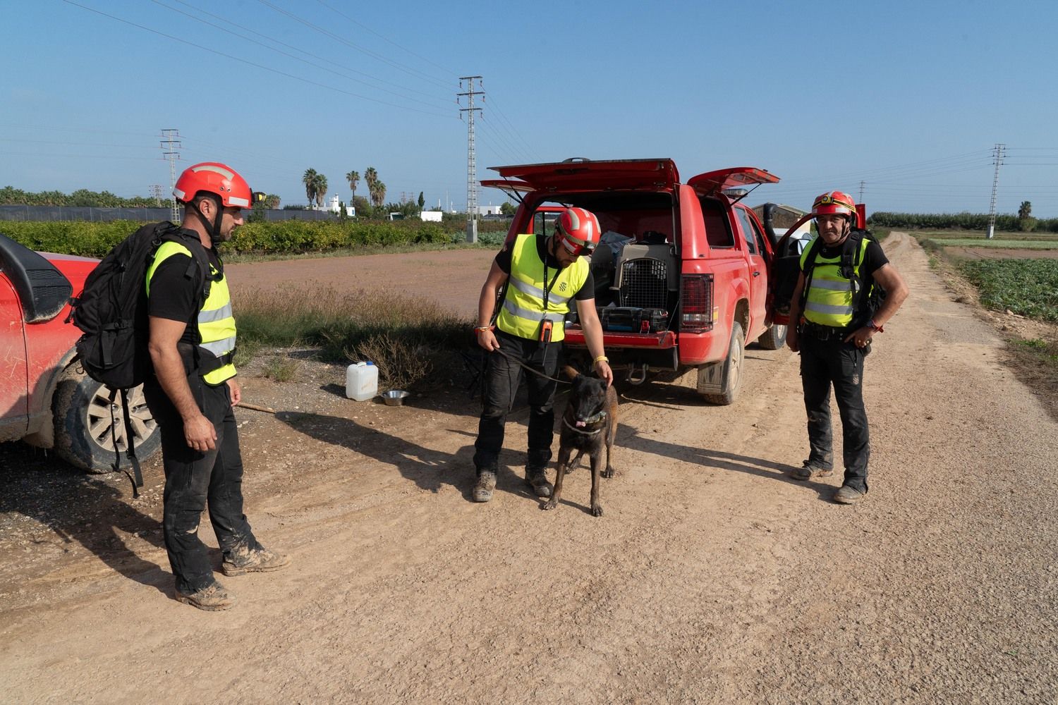 El V batallón de la UME con sede en León, rastrea la Albufera en busca de desaparecidos