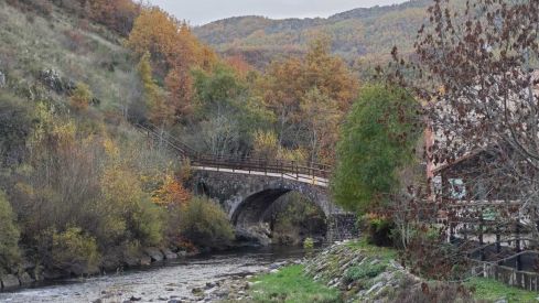 Feria de la cecina de chivo en vegacervera 