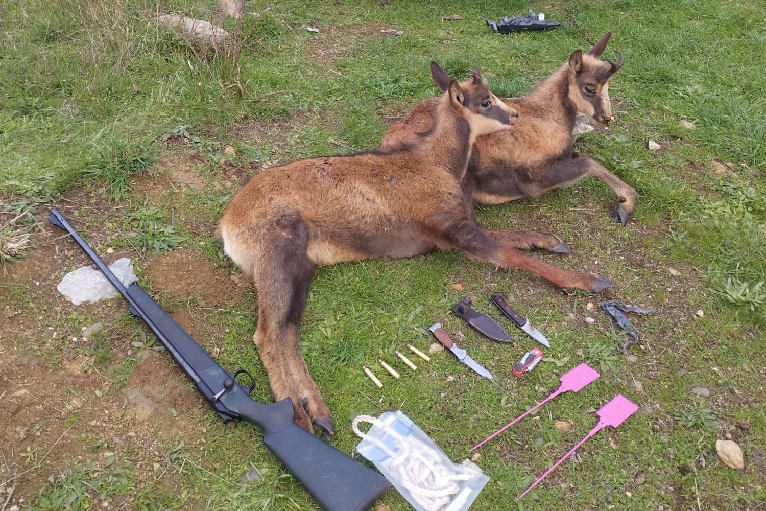 Tres cazadores denunciados por caza ilegal de rebeco en el Parque Natural de Babia y Luna 