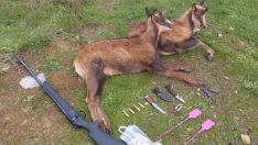 Tres cazadores denunciados por caza ilegal de rebeco en el Parque Natural de Babia y Luna 