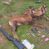 Tres cazadores denunciados por caza ilegal de rebeco en el Parque Natural de Babia y Luna 