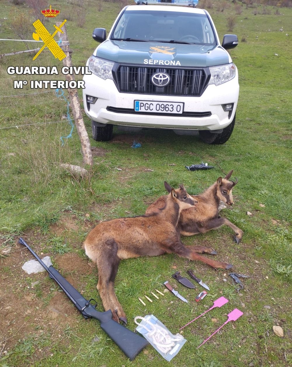 Tres cazadores denunciados por caza ilegal de rebeco en el Parque Natural de Babia y Luna (León) (1)