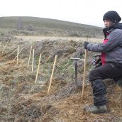 Reforestación de Valdavido (León) en el año 2022