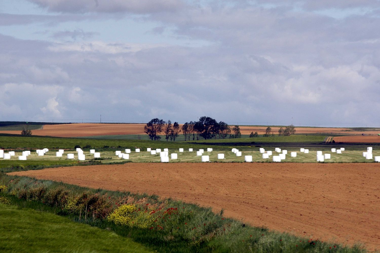Campos con cultivos y en barbecho | Miriam Chacón (ICAL)