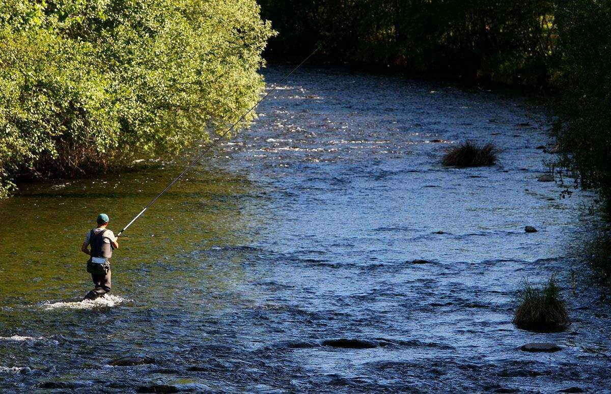Pesca. Un hombre pescando