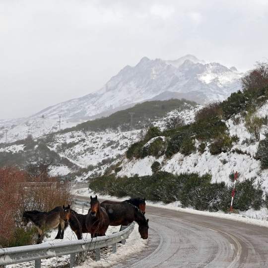 La nieve llega a la provincia de León dejando estampas navideñas