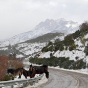 La nieve llega a la provincia de León dejando estampas navideñas