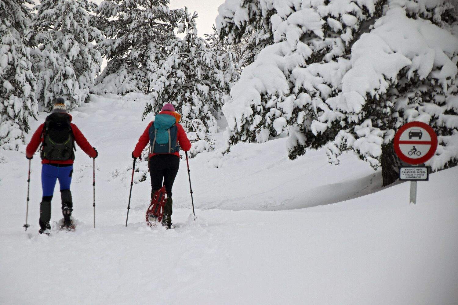 nieve montaña leonesa
