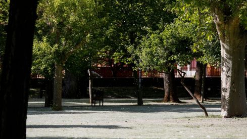 El PP acusa al alcalde de León de "malgastar" 58.000 euros en un estudio sobre el arbolado | Campillo / ICAL El PP acusa al alcalde de León de "malgastar" 58.000 euros en un estudio sobre el arbolado | Campillo / ICAL