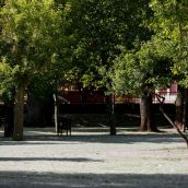 El PP acusa al alcalde de León de "malgastar" 58.000 euros en un estudio sobre el arbolado | Campillo / ICAL