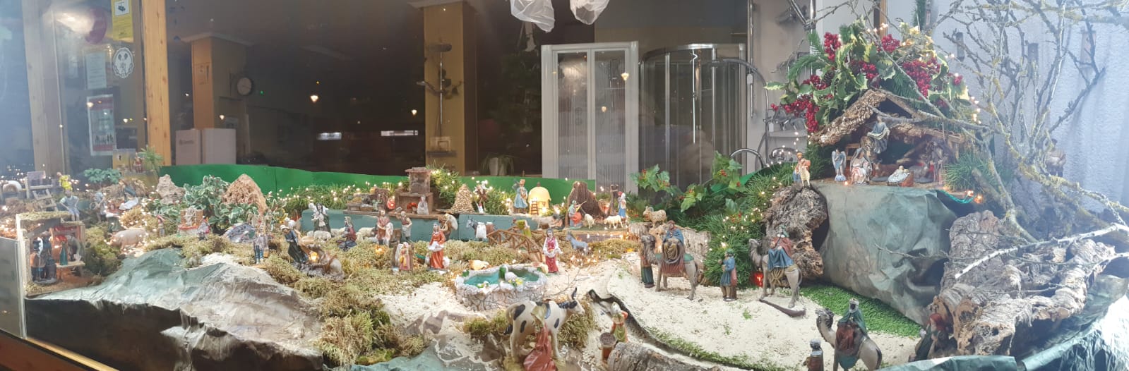 Escaparate de Algasa Escaparate de Algasa