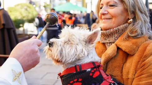 Campillo ICAL. Bendición de animales en León con motivo de la festividad de San Antón (2