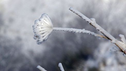 Así amaneció la Montaña Central tras el paso de la borrasca Garoé | Peio García / ICAL