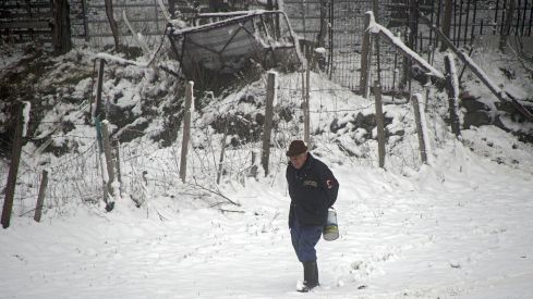 Así amaneció la Montaña Central tras el paso de la borrasca Garoé | Peio García / ICAL