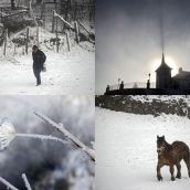 Así amaneció la Montaña Central Leonesa tras el paso de la borrasca Garoé Así amaneció la Montaña Central Leonesa tras el paso de la borrasca Garoé