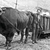 Los animales de la mina protagonizan una conferencia en el Museo de la Siderurgia y la Minería de Sabero (León)