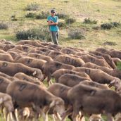 UGAL-UPA denuncia la situación “límite” de los ganaderos de leche de oveja en León con bajadas de precio de 0,30 céntimos por litro | Campillo / ICAL UGAL-UPA denuncia la situación “límite” de los ganaderos de leche de oveja en León con bajadas de precio de 0,30 céntimos por litro | Campillo / ICAL
