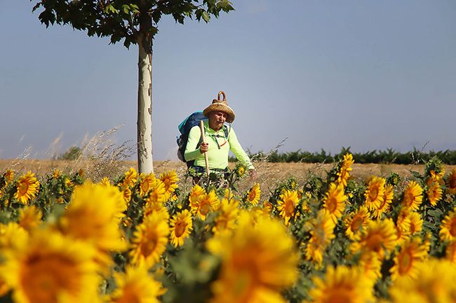 Regresan los peregrinos al Camino de Santiago