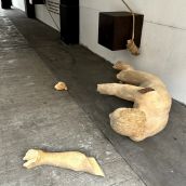 Aparece roto 'El recolector de estrellas’ de Amancio González ubicado en el pasaje de la avenida Ordoño II de León