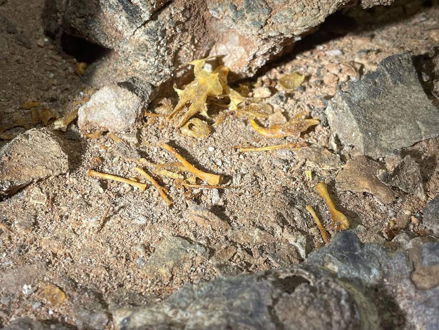 Nueva galería en las Cuevas de Valporquero (8)