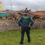 Detenido un joven por robar material agrícola y leña en Benavides de Órbigo (León)