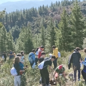 Imagen de archivo de niños repoblando un bosque en la provincia de León| Calzadilla de los Hermanillos (León) creará un ‘Bosque de los sueños’ con la plantación de 120 robles Imagen de archivo de niños repoblando un bosque en la provincia de León| Calzadilla de los Hermanillos (León) creará un ‘Bosque de los sueños’ con la plantación de 120 robles