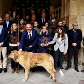 La Diputación de León acoge la V Edición de los Premios Trashumante con la medallista olímpica Teresa Zabell como madrina | Campillo / ICAL 