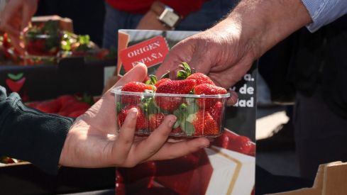 UPA Huelva y UGAL-UPA repartirán más de 500 tarrinas de fresas en la Plaza San Marcelo de León
