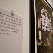 Las fotografías de José Ramón Vega y textos de Tomás Sánchez Santiago muestran al espectador ‘Ciertos deslumbramientos’ en el Museo de León | Campillo / ICAL