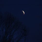 Un eclipse lunar sobre la Luna de Sangre ilumina de rojo el cielo de León | Peio García / ICAL