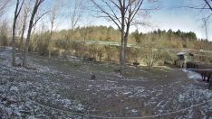 Finca de Valsemana en La Ercina (León)