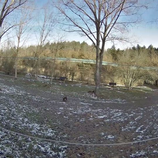 Finca de Valsemana en La Ercina (León)