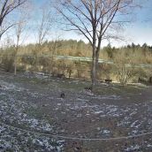 Finca de Valsemana en La Ercina (León)