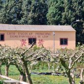 El Coto Escolar de León lanza su programa especial de actividades para las vacaciones de Semana Santa