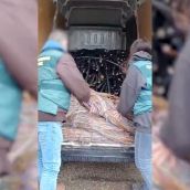 Cinco detenidos por robar cable de cobre en León y Valladolid