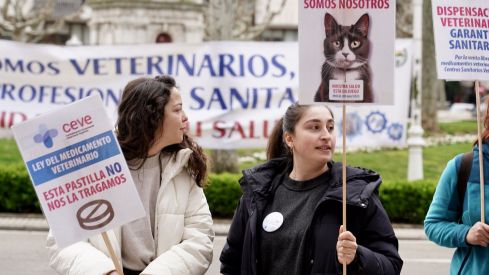 Concentración de los veterinarios de León por el uso de medicamentos | Campillo / ICAL