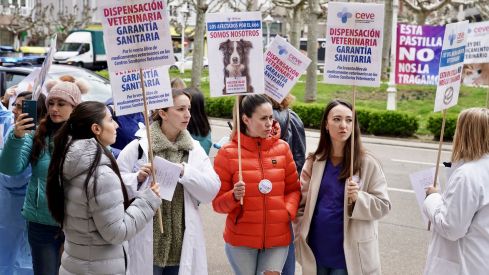 Concentración de los veterinarios de León por el uso de medicamentos | Campillo / ICAL