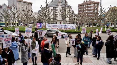 Concentración de los veterinarios de León por el uso de medicamentos | Campillo / ICAL