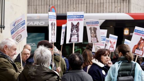 Concentración de los veterinarios de León por el uso de medicamentos | Campillo / ICAL