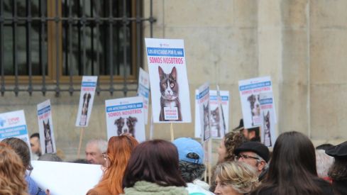 Concentración de los veterinarios de León por el uso de medicamentos | José Martín