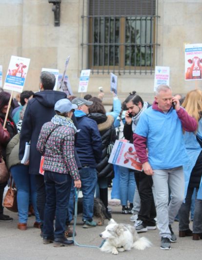 Concentración de los veterinarios de León por el uso de medicamentos | José Martín