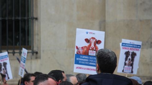 Concentración de los veterinarios de León por el uso de medicamentos | José Martín
