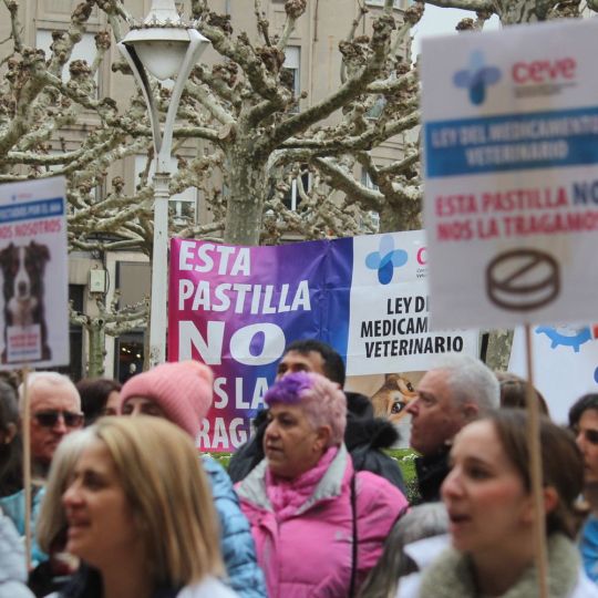 Concentración de los veterinarios de León por el uso de medicamentos | José Martín