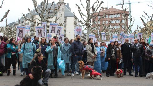 Concentración de los veterinarios de León por el uso de medicamentos | José Martín