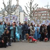 Los veterinario de León piden al Ayuntamiento que formalice la solicitud para acoger la Agencia Estatal de Salud Pública| José Martín